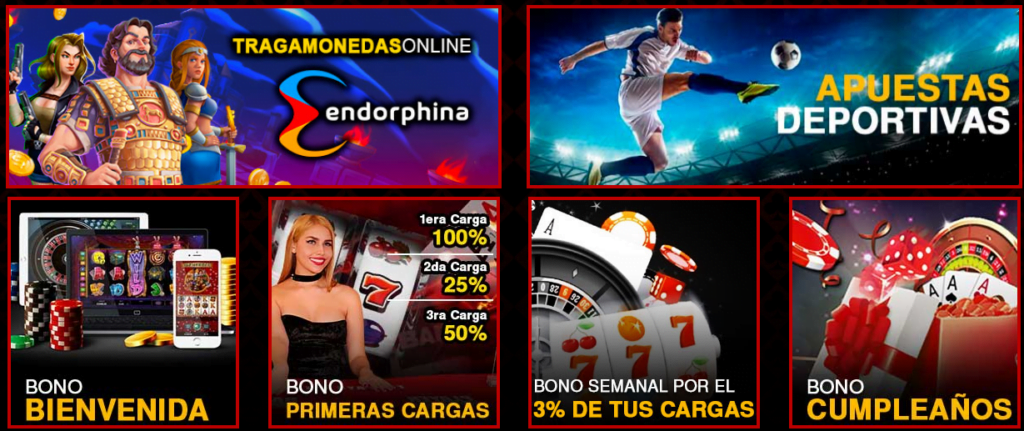 pokerenchile registro