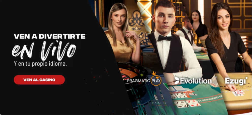 bodog live casino